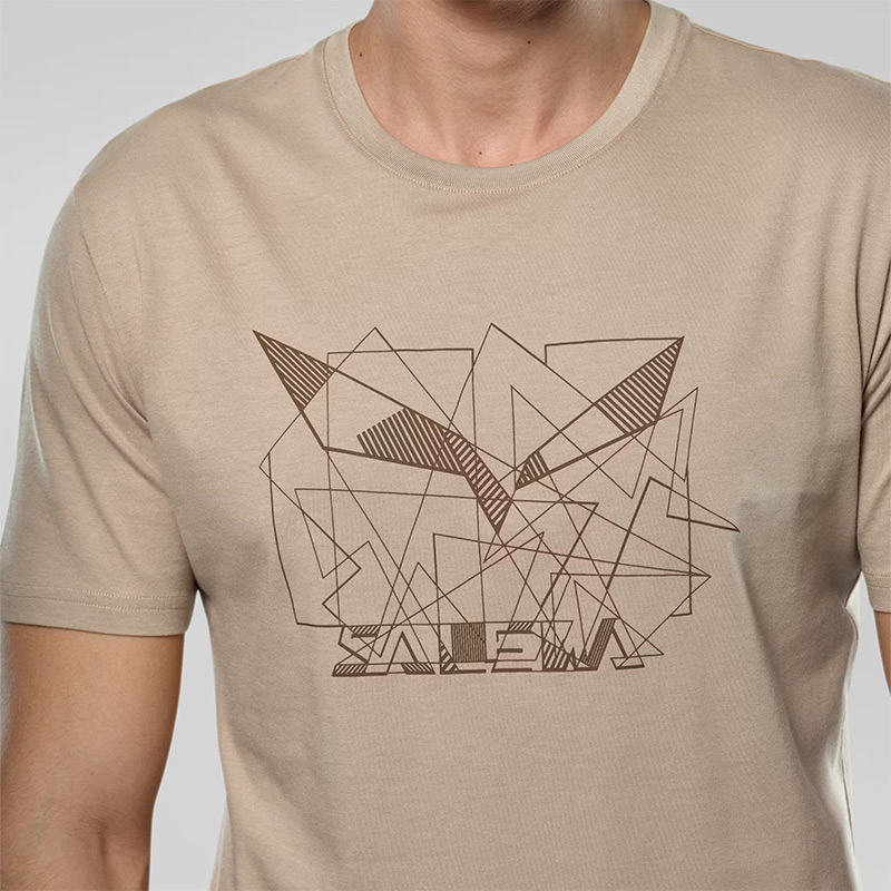 Футболка мужская Salewa EAGLE GEOMETRIC M T-SHIRT Quicksand