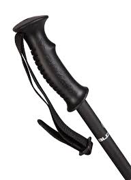 Палочки лыжные BLIZZARD Rental Ski Poles Silver