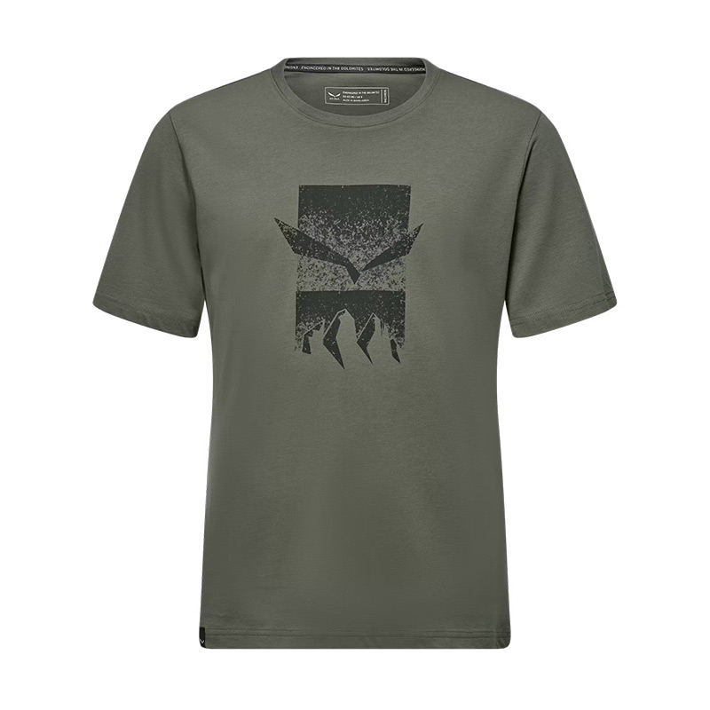 Футболка мужская Salewa EAGLE 3CIME M T-SHIRT Faded Green