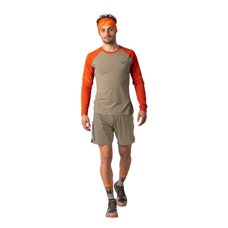 Футболка мужская с длинным рукавом Dynafit ALPINE PRO M L/S TEE Alabama