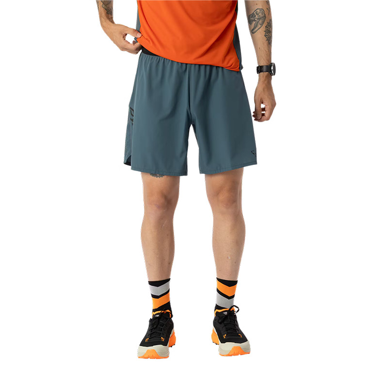 Шорты мужские Dynafit ALPINE M SHORTS Cinder