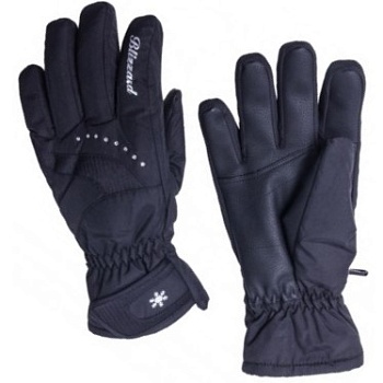 Перчатки женские BLIZZARD Viva Davos ski W GLOVE black
