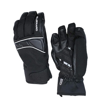 Перчатки мужские BLIZZARD Profi ski M GLOVE black/silver